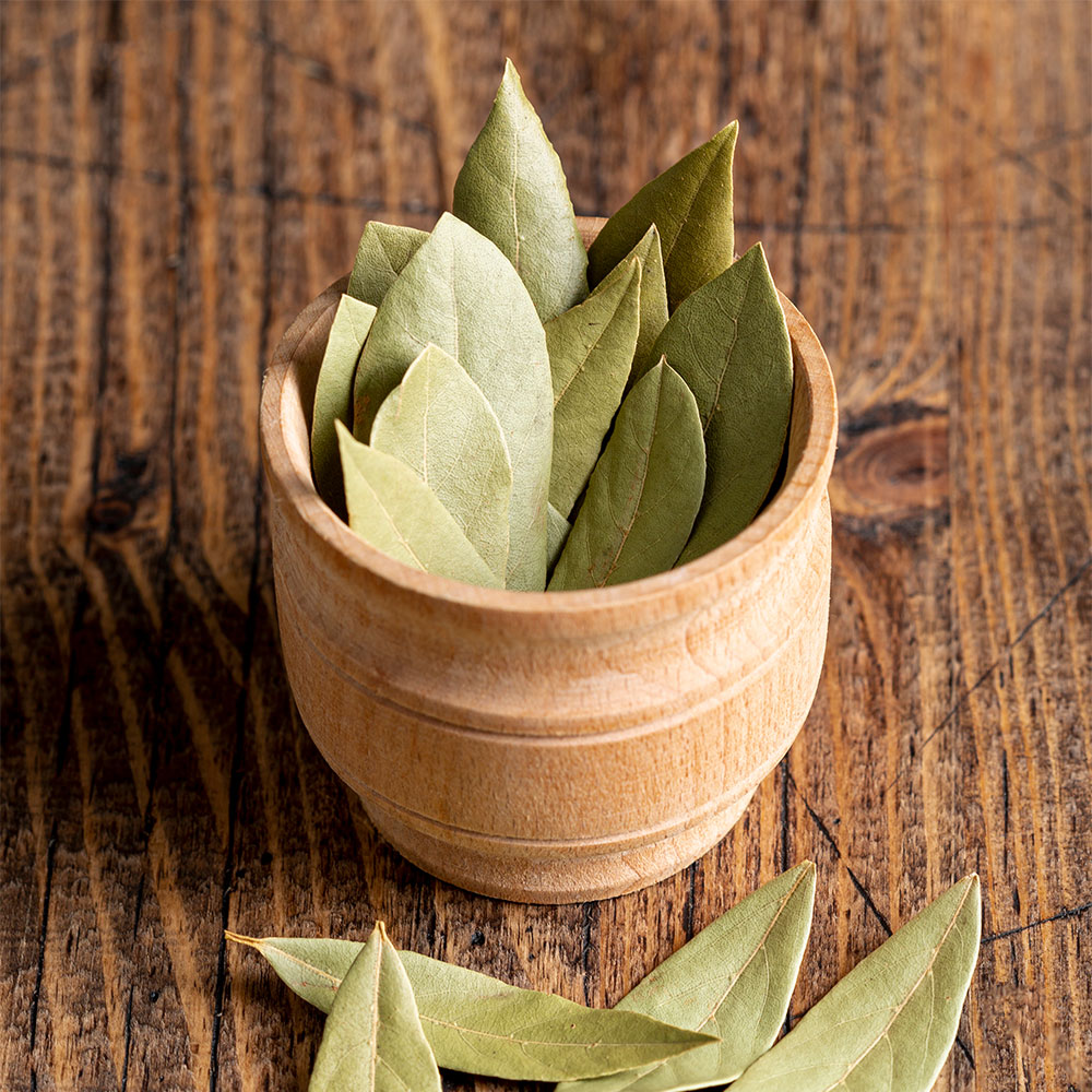 Bay Leaf - Tej Patta